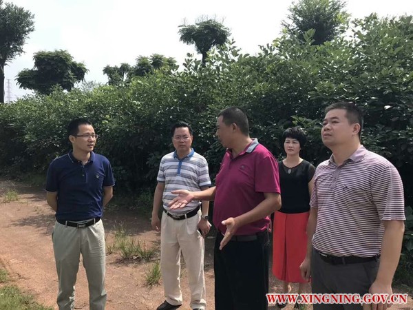 微信图片_20170908085259.jpg