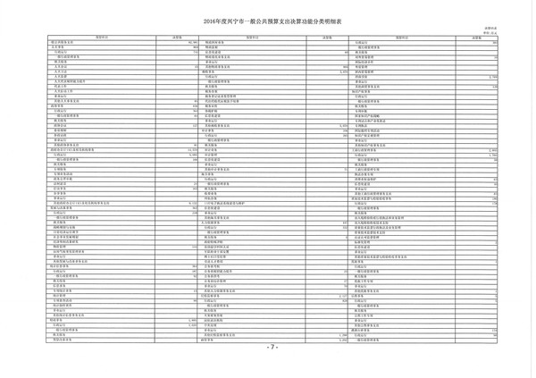 2016年度兴宁市一般公共预算支出决算功能分类明细表01.jpg