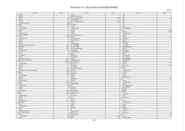 2016年度兴宁市一般公共预算支出决算功能分类明细表02.jpg