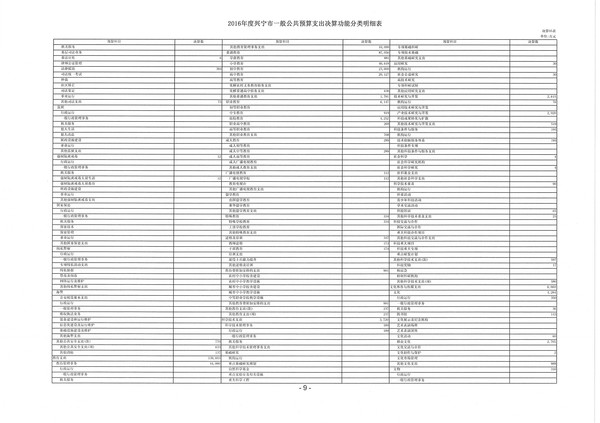 2016年度兴宁市一般公共预算支出决算功能分类明细表03.jpg