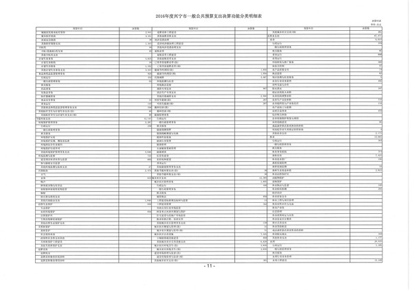 2016年度兴宁市一般公共预算支出决算功能分类明细表05.jpg