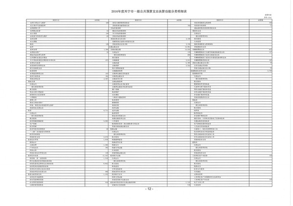 2016年度兴宁市一般公共预算支出决算功能分类明细表06.jpg