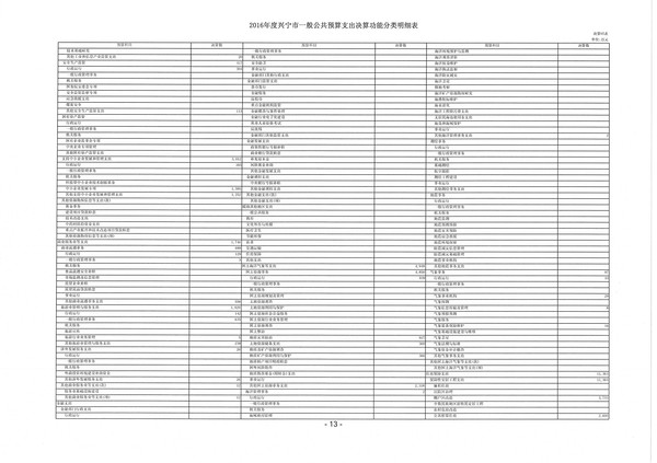 2016年度兴宁市一般公共预算支出决算功能分类明细表07.jpg