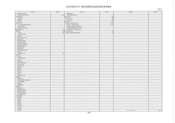 2016年度兴宁市一般公共预算支出决算功能分类明细表08.jpg