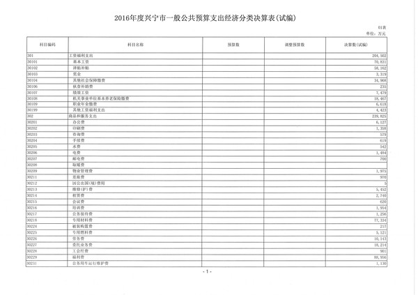 2016年度兴宁市一般公共预算支出经济分类决算表01.jpg