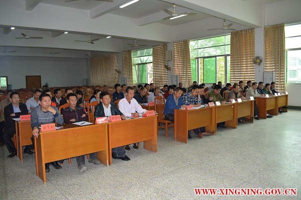 DSC_0136_爱奇艺.jpg