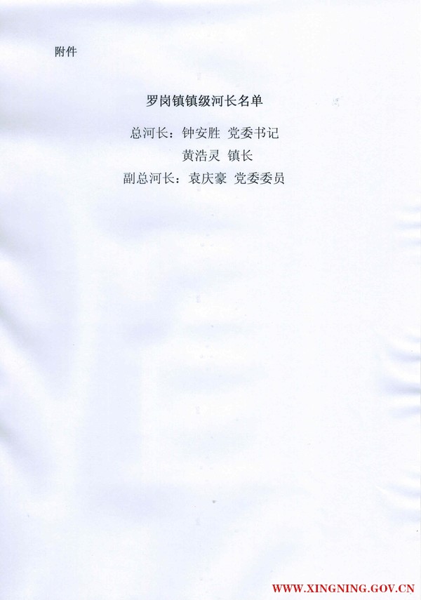 罗岗.JPG
