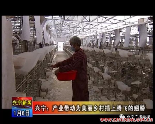 微信图片_20180108142751.jpg