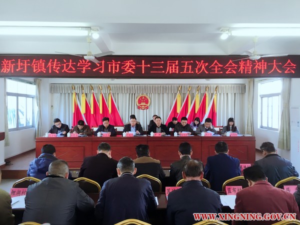 新圩镇召开传达学习市委十三届五次全会精神大会.jpg