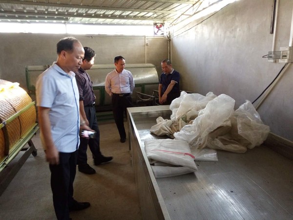 市农业局曾巨文局长到永和镇茶厂检查工作2.jpg