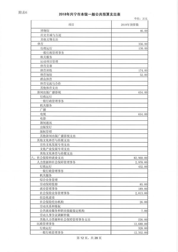 兴宁市2018年预算明细表-12.jpg