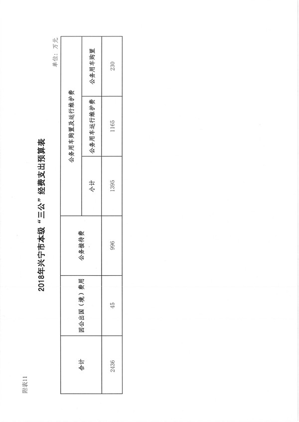 兴宁市2018年预算明细表-33.jpg