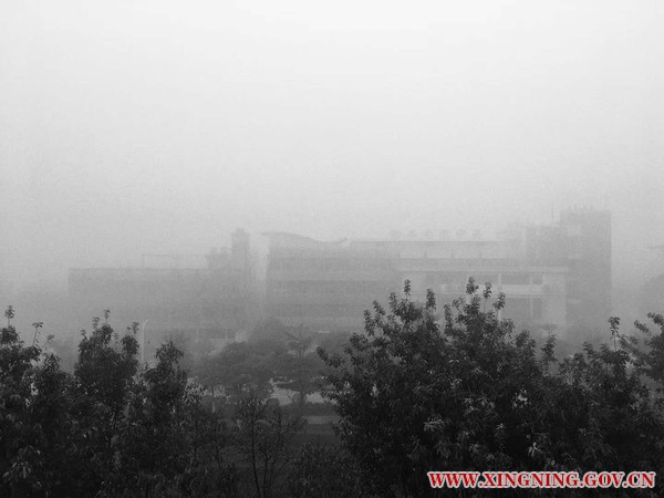 微信图片_20180301112829.jpg