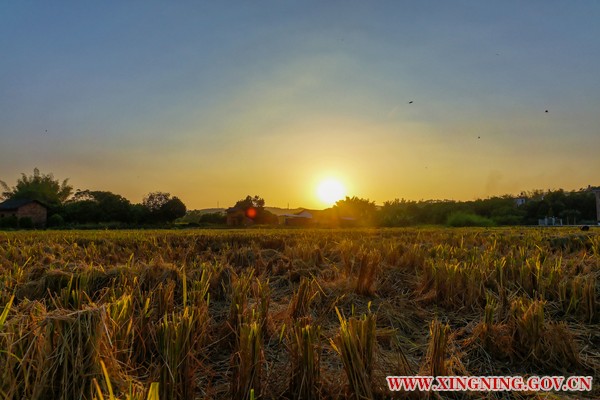 DSC09620_DxO.jpg