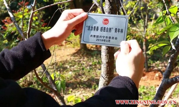 微信图片_20180312093816.png