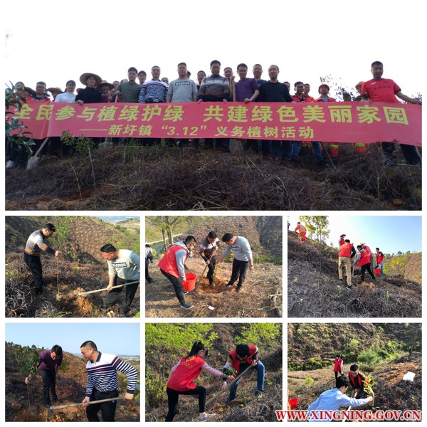 新圩镇义务植树活动.jpg