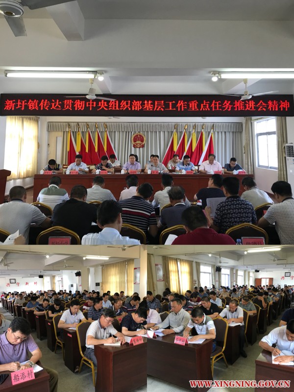 新圩镇召开传达贯彻中央组织部基层工作重点任务推进会会议精神.jpg