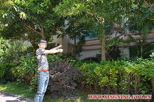 犯罪嫌疑人指认盗窃现场(内网用)01.jpg