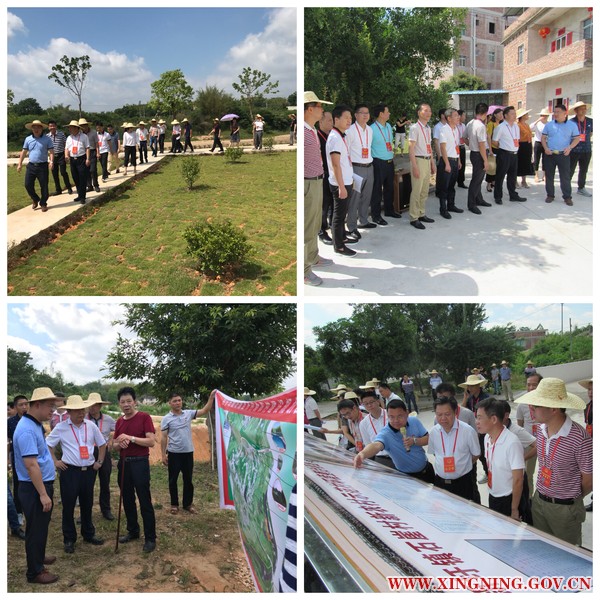 在兴梅州市七届人大代表到新圩镇调研新农村、美丽乡村建设工作.jpg