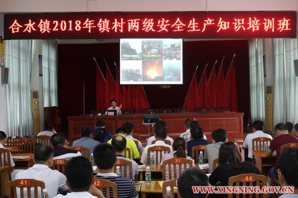 IMG_4570.JPG