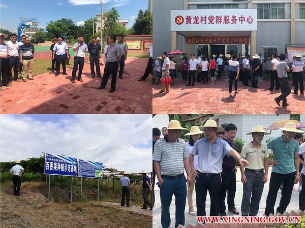 新圩镇：学习先进 助推乡村振兴发展.jpg