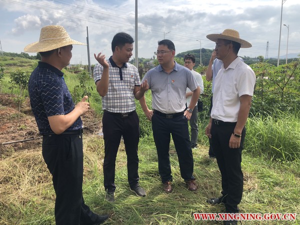 新圩镇：学习先进 助推乡村振兴发展1.jpg