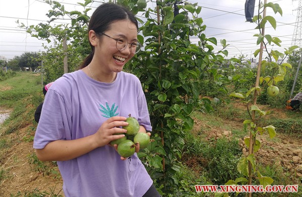 微信图片_20180827164146_副本.jpg