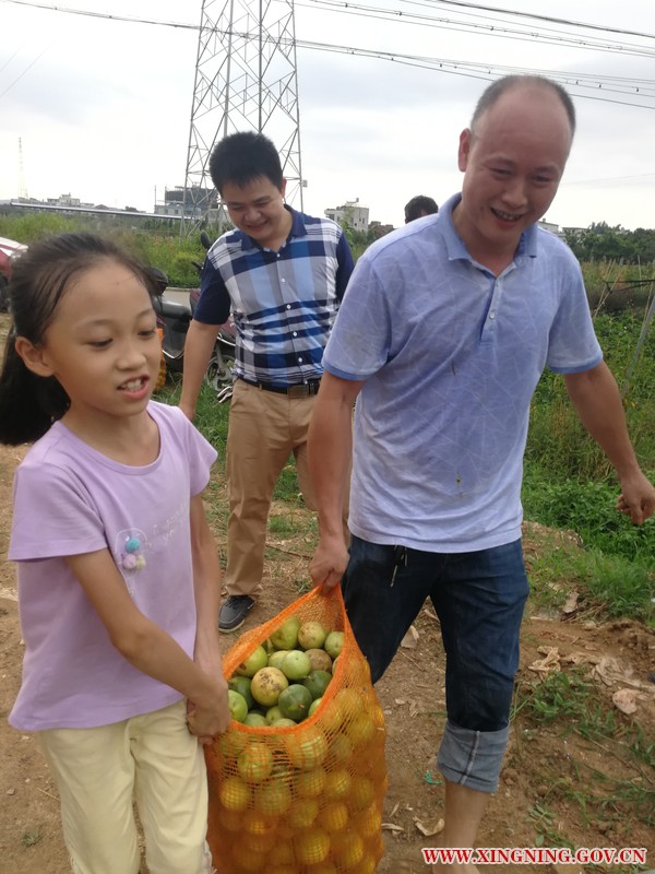 微信图片_20180827164206.jpg