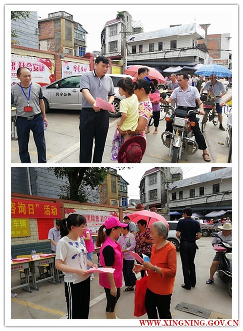 摸查.jpg
