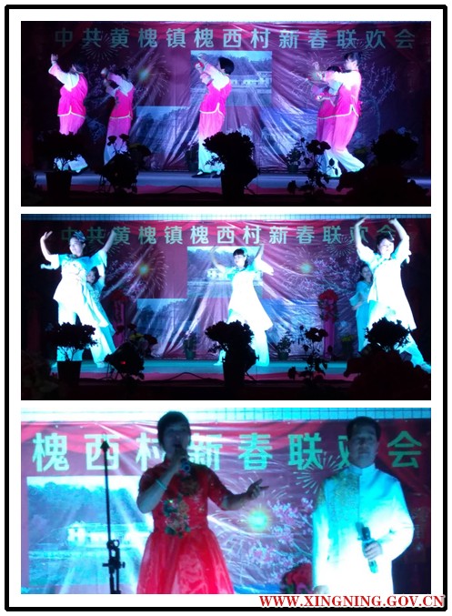 槐西晚会51.png