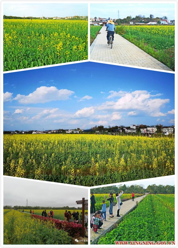 未命名_meitu_0.jpg