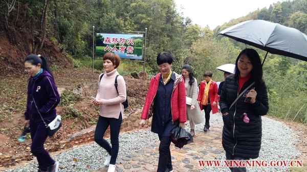 工会干部参观“十二肩岭”古驿道.jpg