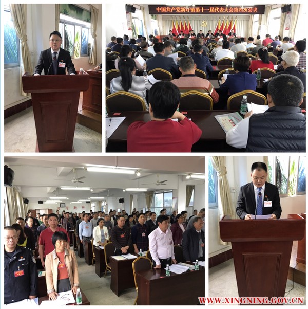 中共新圩镇第十一届代表大会第四次会议顺利召开.jpg