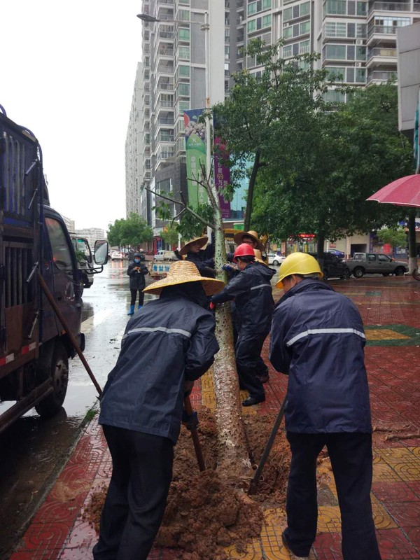 微信图片_20190422165221.jpg