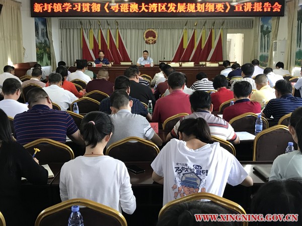 新圩镇召开学习贯彻《粤港澳大湾区发展规划纲要》宣讲报告会1.jpg