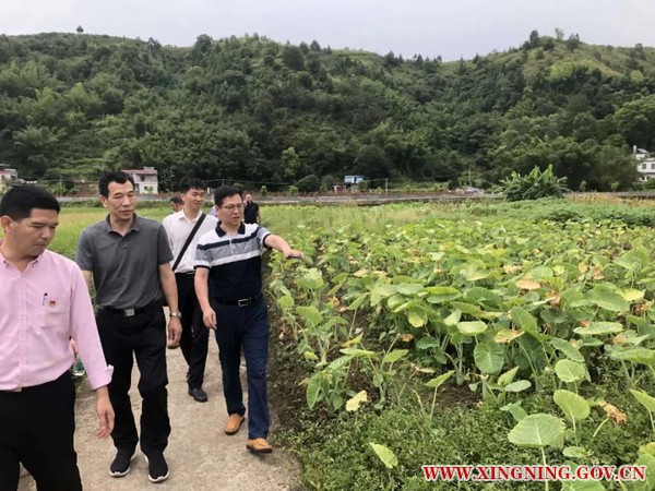 微信图片_20190708162102.jpg