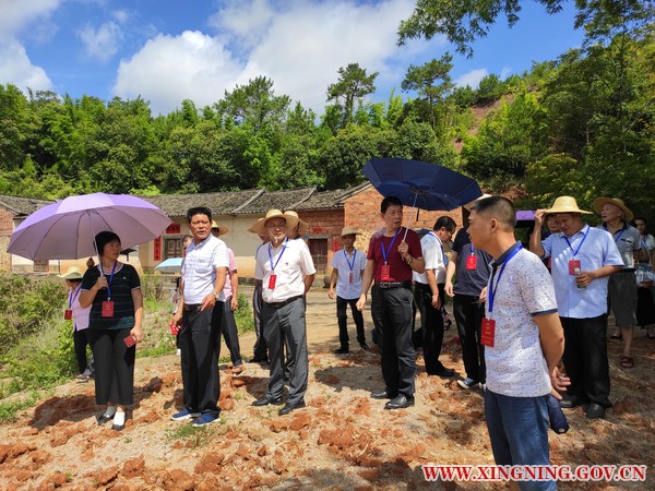 新圩镇人大组织代表调研乡村振兴建设工作1.jpg