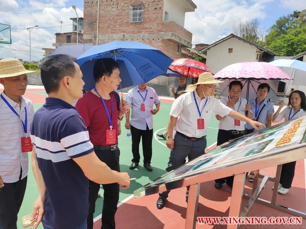 新圩镇人大组织代表调研乡村振兴建设工作2.jpg