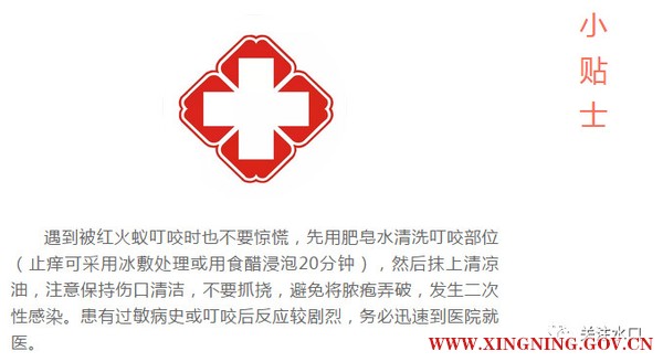 微信图片_20190809102641.jpg