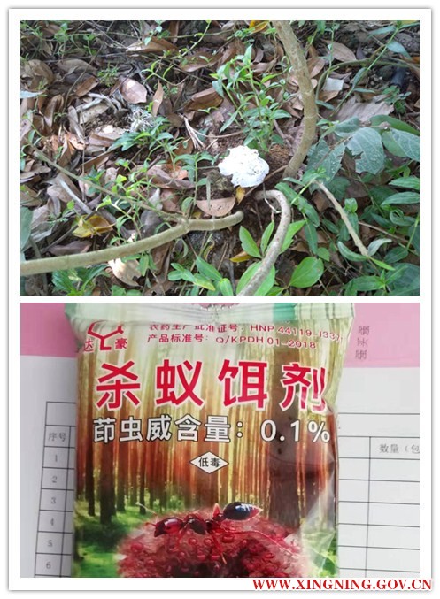initpintu_副本.jpg