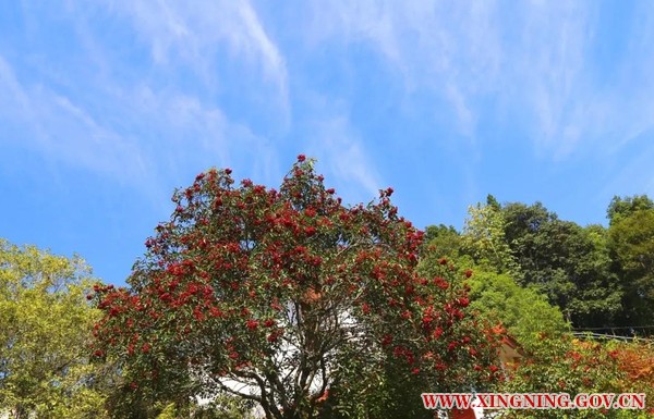微信图片_20190820153849.jpg