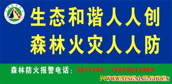 20111025110019461_副本.jpg