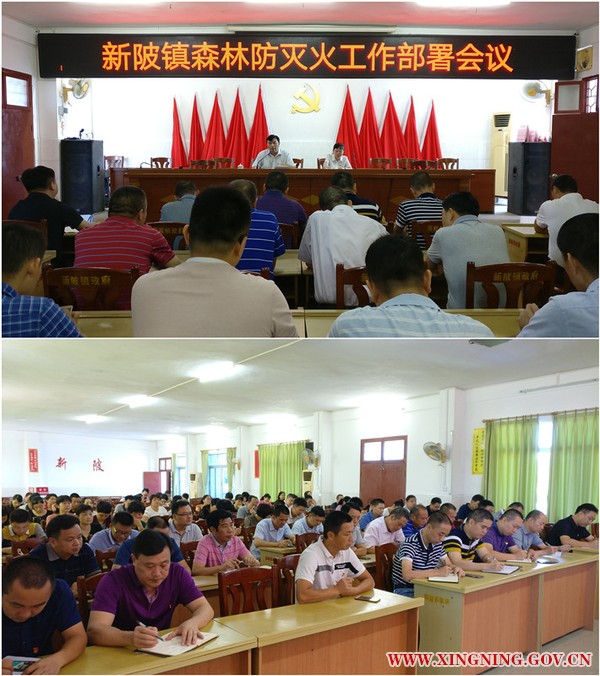 全镇工作部署会.jpg