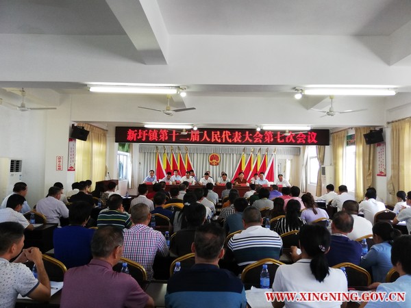 新圩镇第十二届人民代表大会第七次会议胜利召开1.jpg
